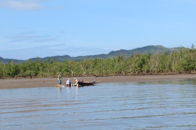 mangrove-fisheries