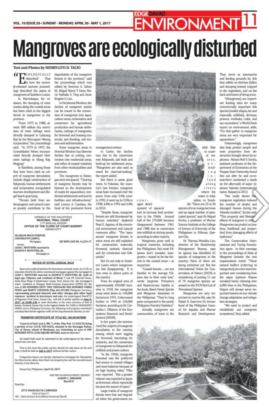 Mangroves are ecologically disturbed_Tacio 2017