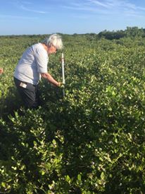 13882484_10154352328374785_7438112732561588727_n