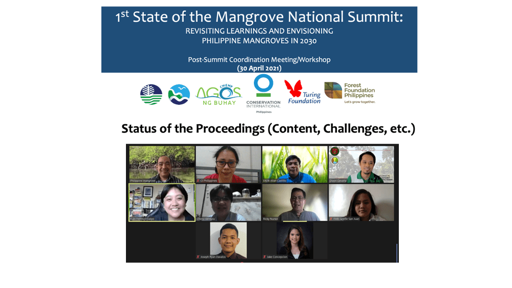 mangrove summit proceedings