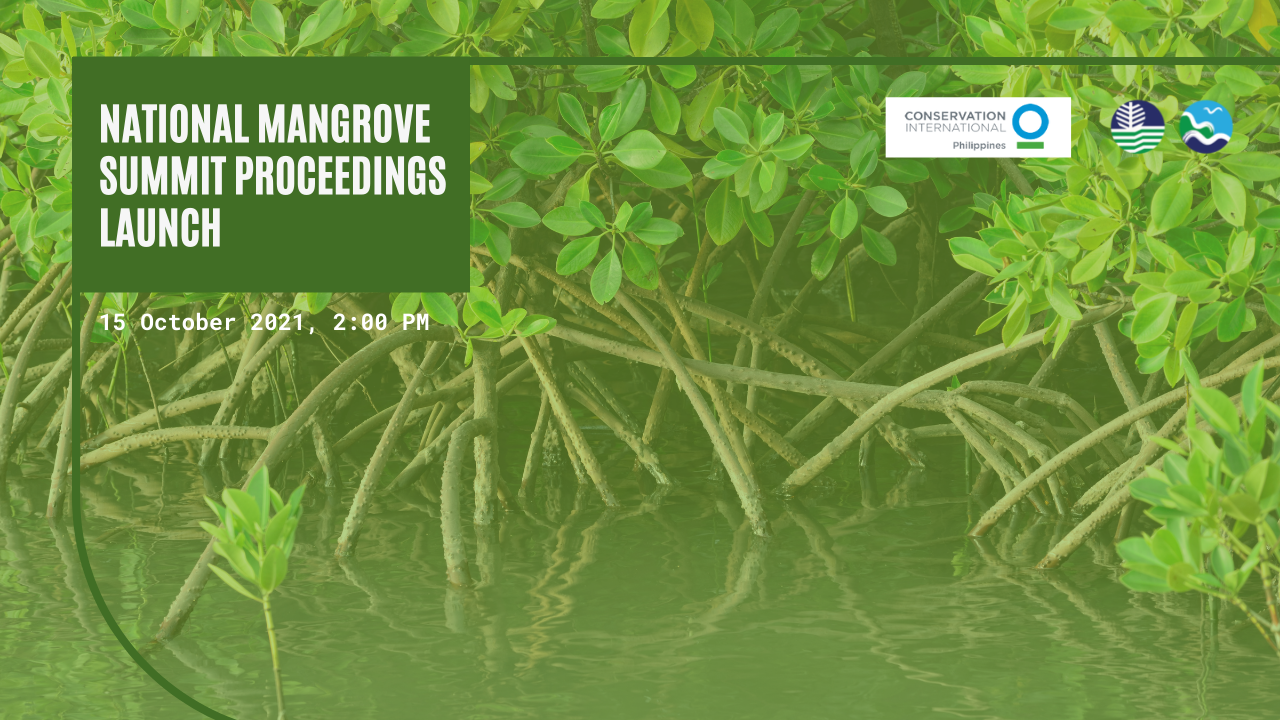 Green Yellow White Subtle Gradients Community and Spirituality Zoom Virtual Background (2)