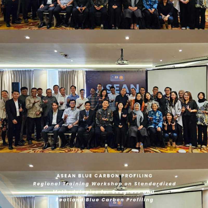 UNDP Holds Blue Carbon Profiling Workshop in Bali,&nbsp;Indonesia
