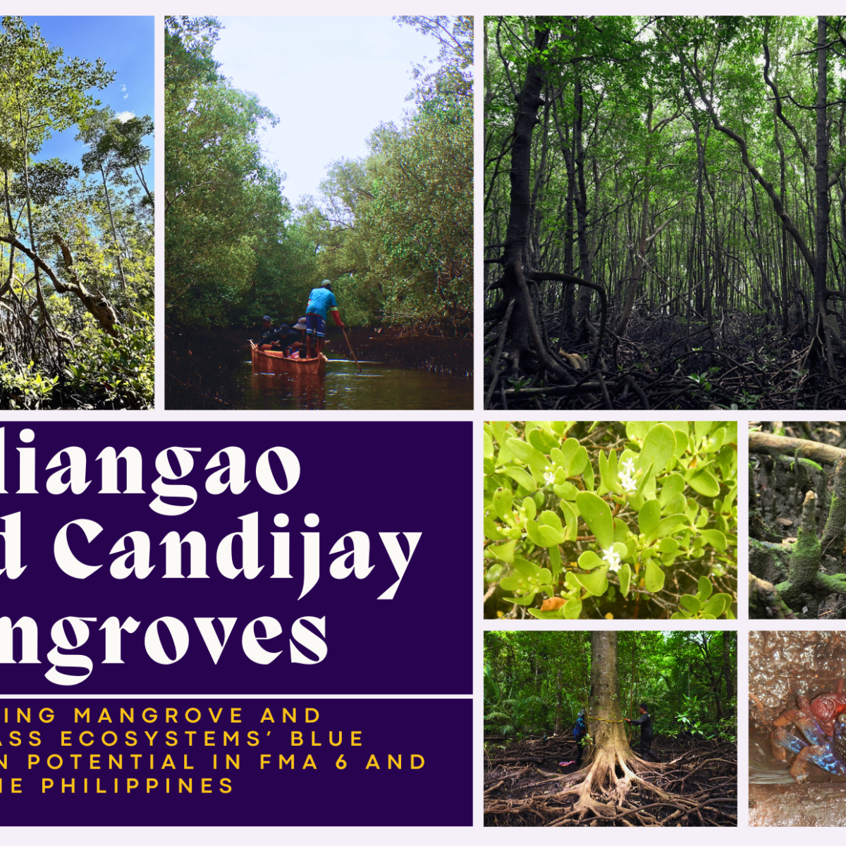 Blue Cap completes its Second Stakeholder&nbsp;Workshop!