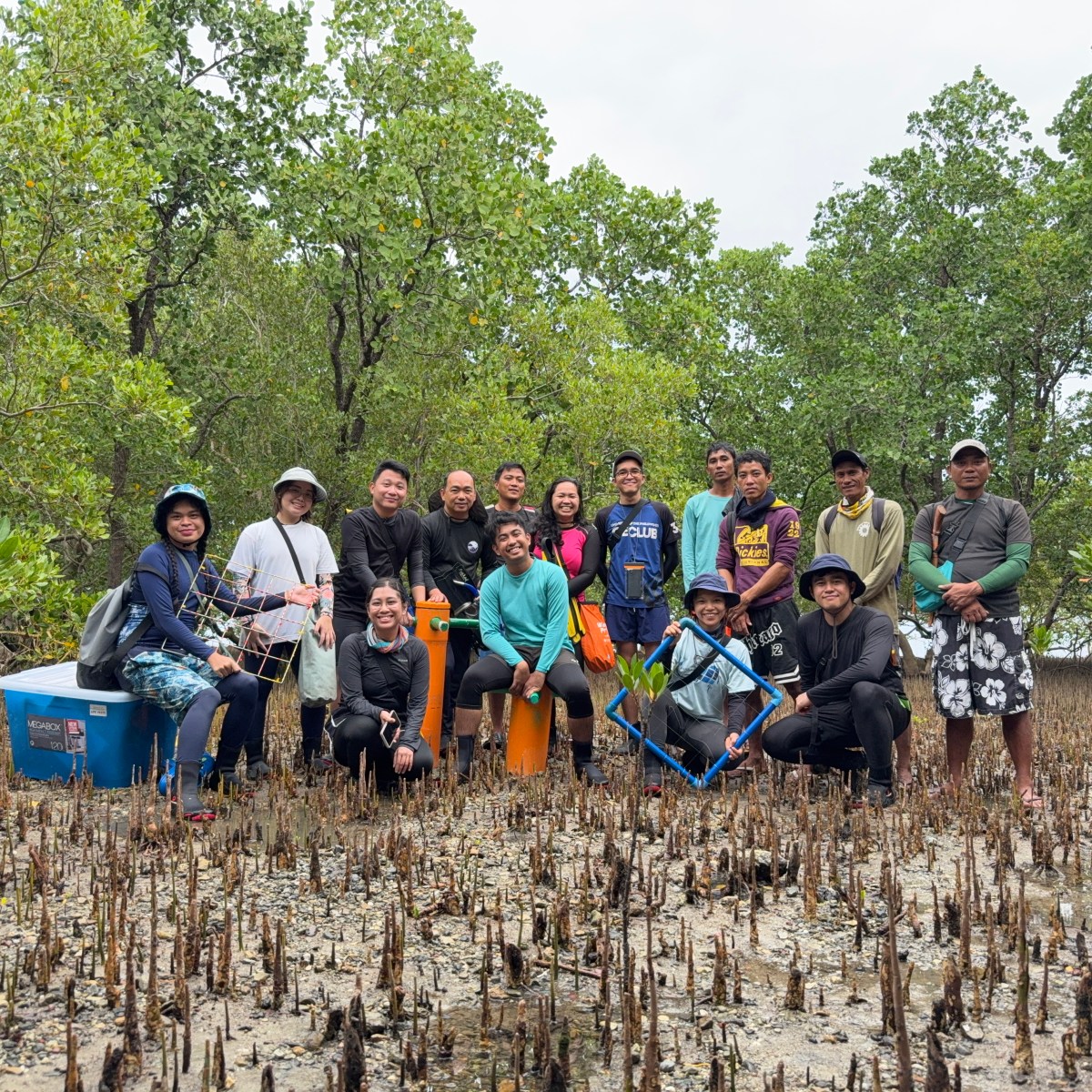 Assessing the Mangroves and Seagrass of Oriental&nbsp;Mindoro