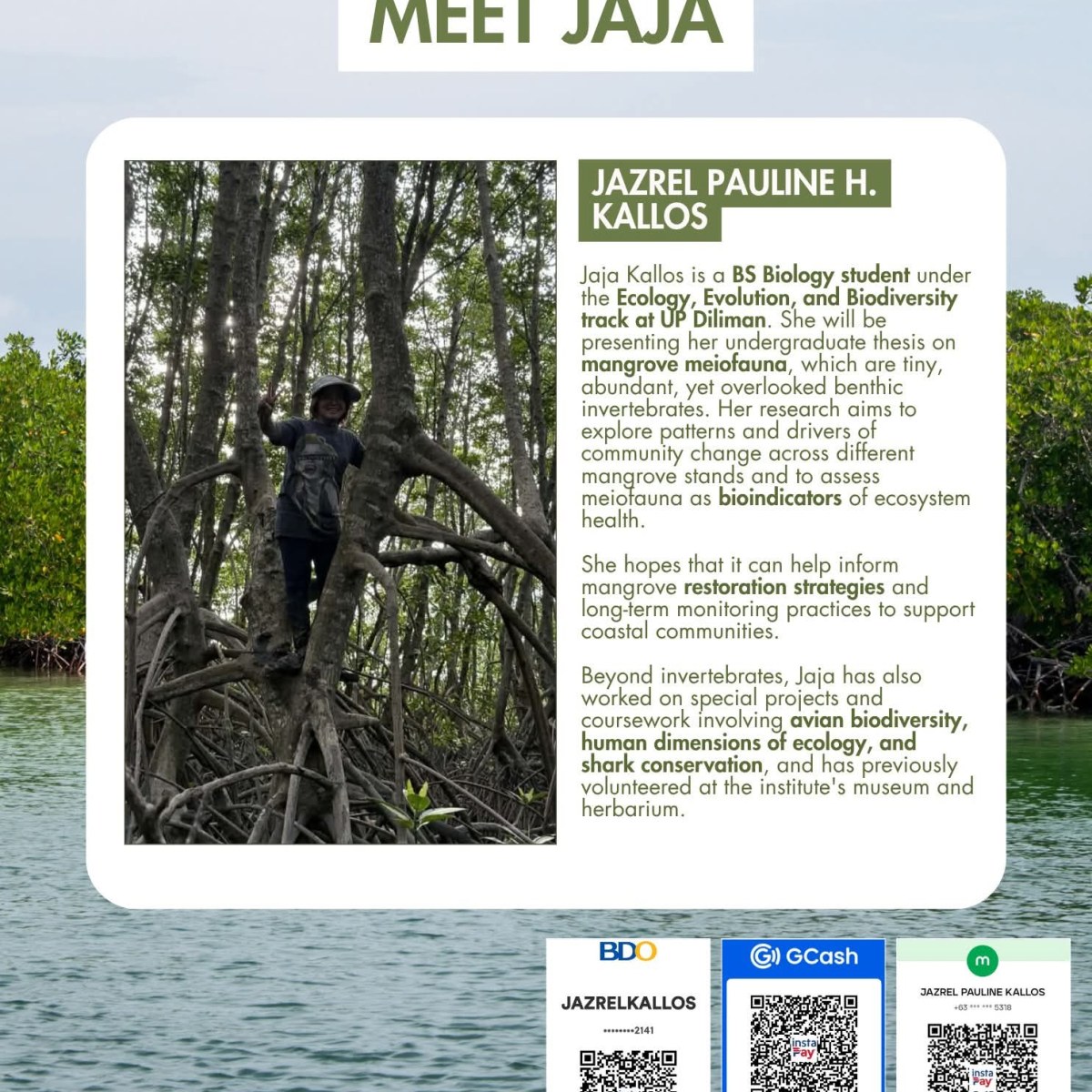 Support Young Researchers for MMM7 in&nbsp;Japan