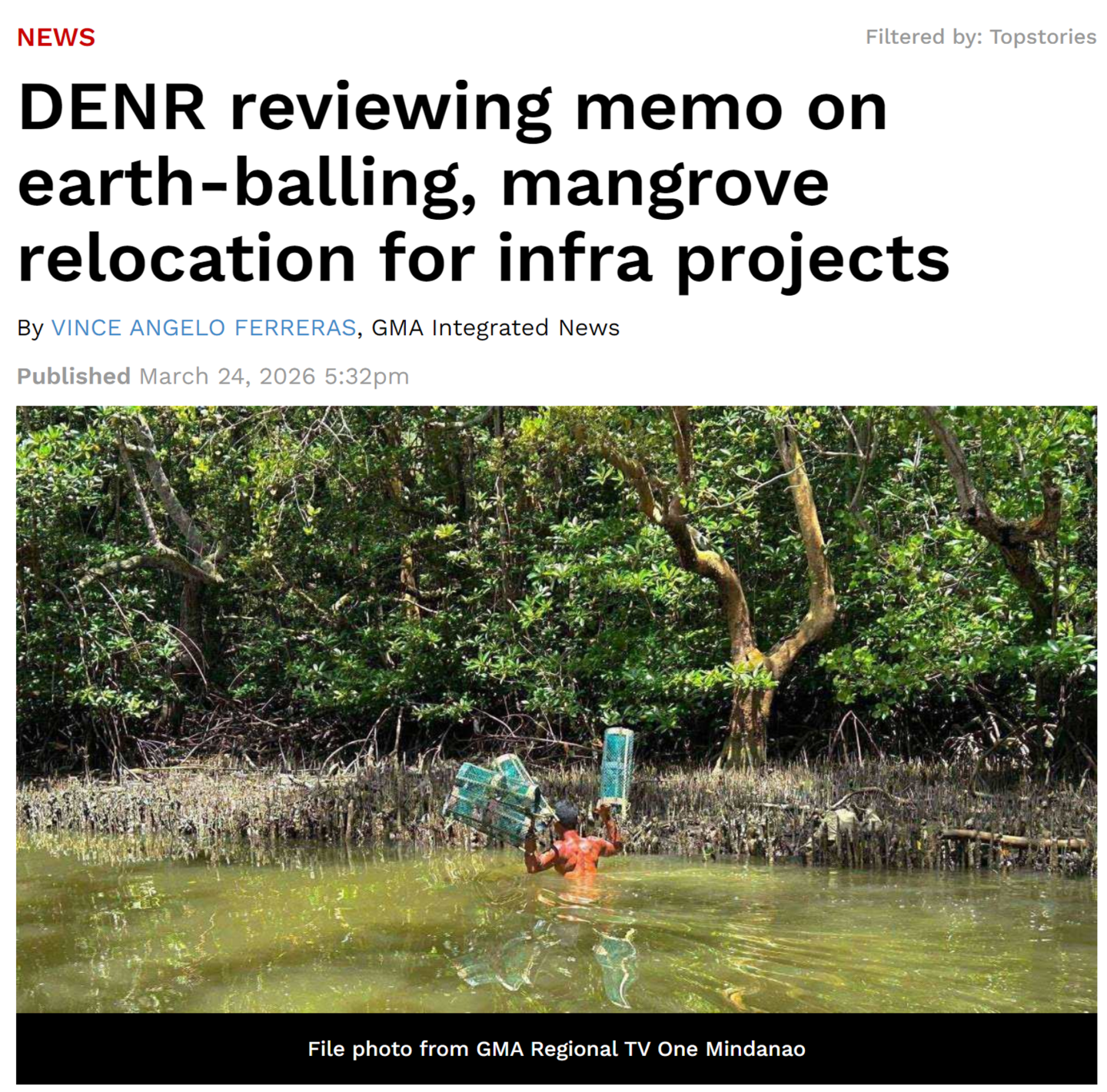 Public pressure on “earth-balling” of mangroves – Mangrove Ecology
