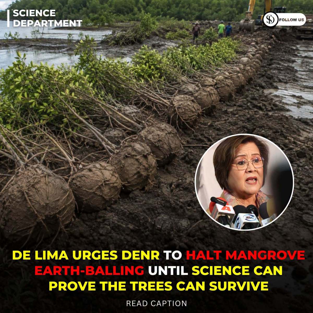 De Lima calls to suspend mangrove&nbsp;earth-balling